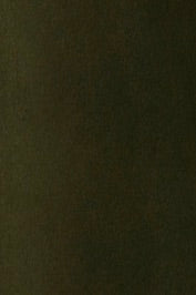 swatch-khaki
