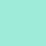 swatch-mint46